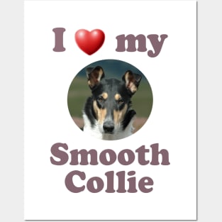 I Love My Smooth Collie Posters and Art